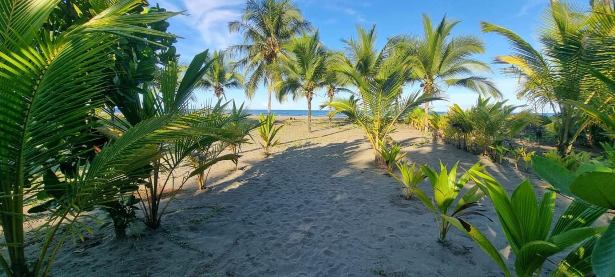 Hotel Playa Westfalia Puerto Limon Eksteriør billede