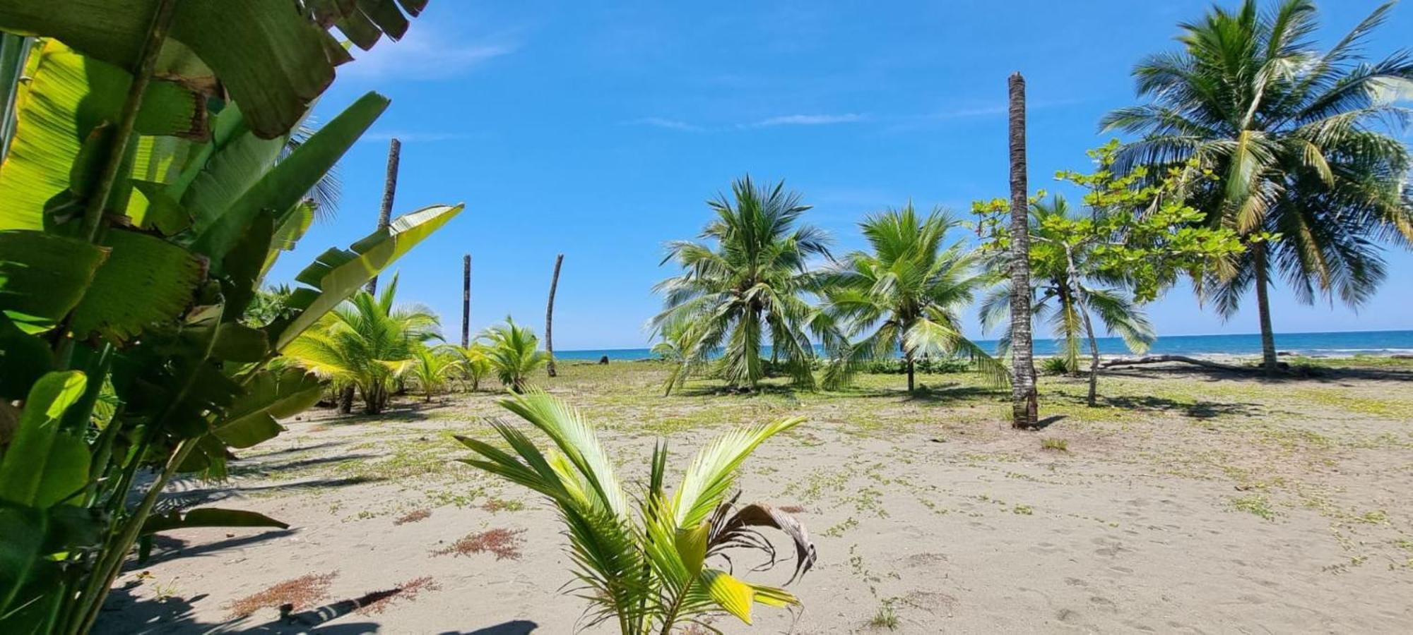 Hotel Playa Westfalia Puerto Limon Eksteriør billede
