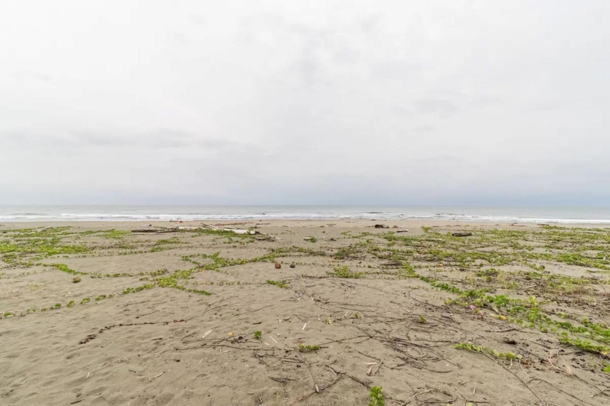 Hotel Playa Westfalia Puerto Limon Eksteriør billede