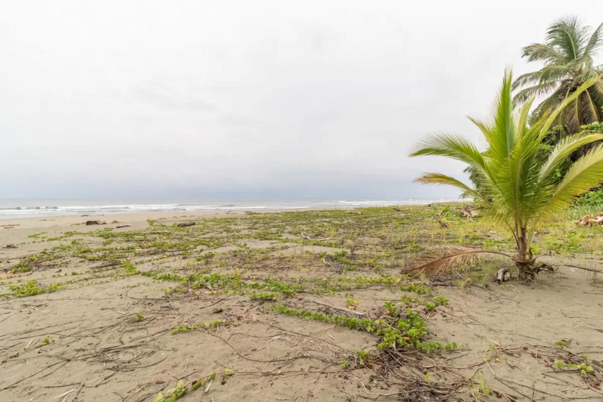Hotel Playa Westfalia Puerto Limon Eksteriør billede
